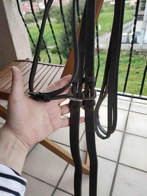 Rênes allemandes en cuir marron