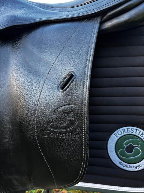 selle dressage forestier