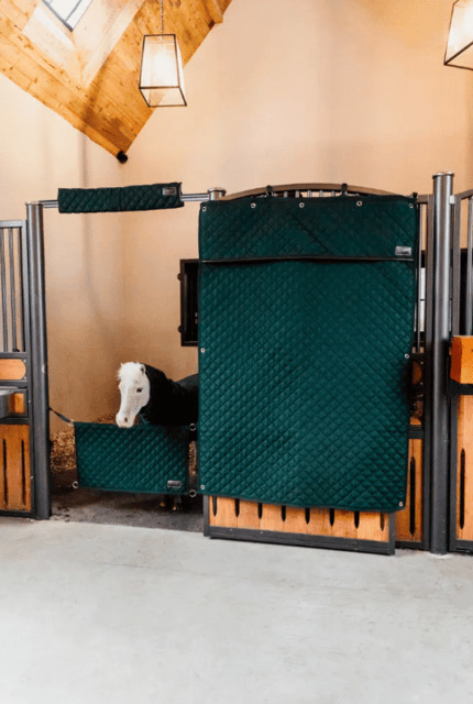 Protection de tête pour box Kentucky