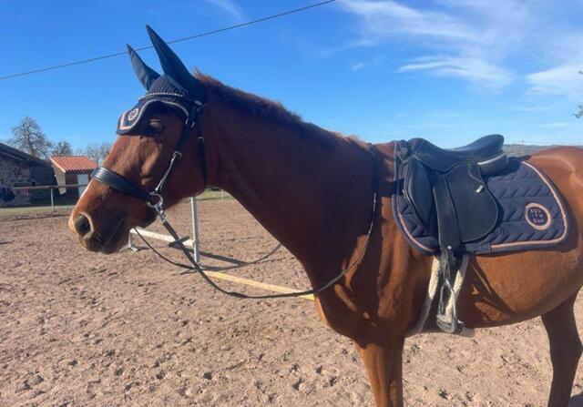 Ensemble tapis + bonnet