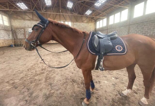 Ensemble tapis + bonnet