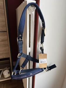 licol bleu poney