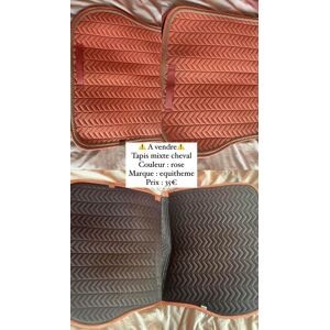Tapis Equitheme