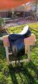Selle de dressage Otto Schumacher