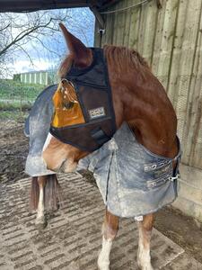 Masque REM X Xpert Équine