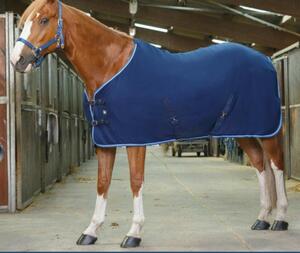 Chemise polaire