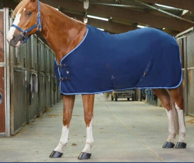 Chemise polaire