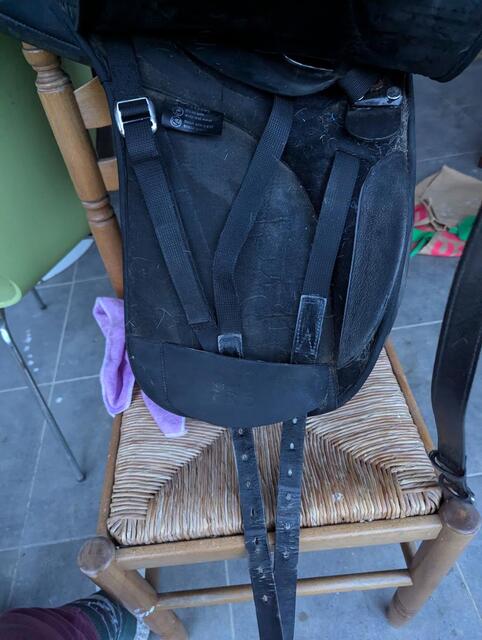 Wintec pro dressage 17 pouces