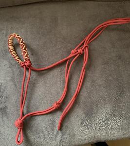 Licol éthologique