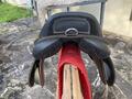 selle Norton 16.5 club close contact zadel rexine evol