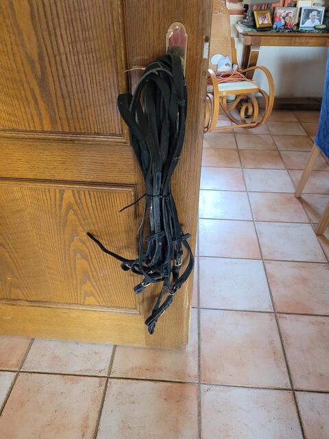 lot de 4 paires de rênes