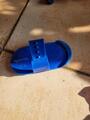 grande étrille bleue