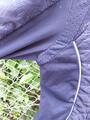 veste Fouganza