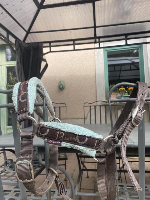 licol + longe