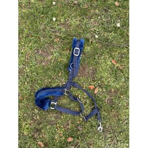 licol moumoute bleu taille cob