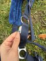 licol moumoute bleu taille cob