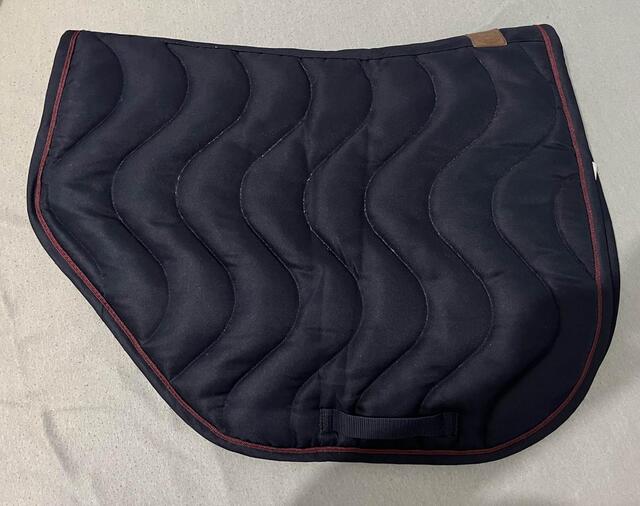 Tapis Salon du cheval de Paris de 2019