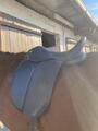 Selle de dressage