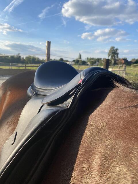 Selle de dressage