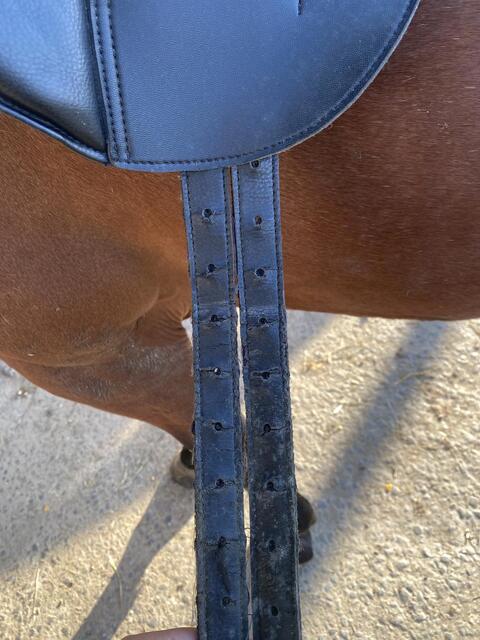 Selle de dressage