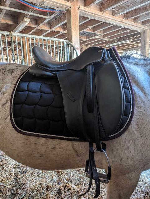 Selle de dressage 17.5