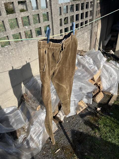 Pantalon en velours