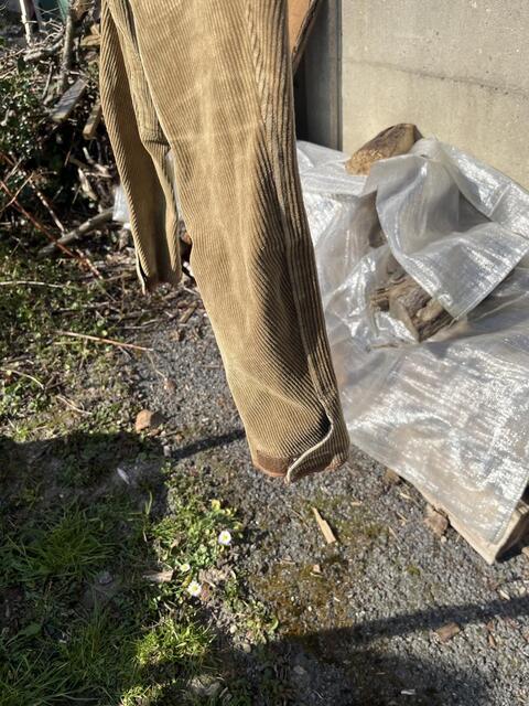 Pantalon en velours