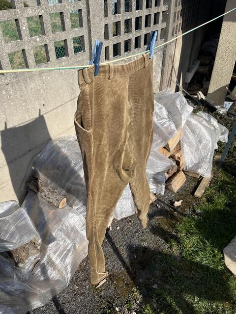 Pantalon en velours