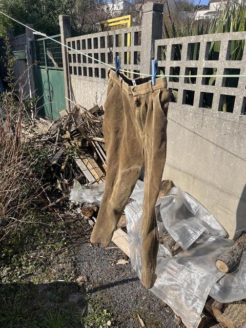 Pantalon en velours