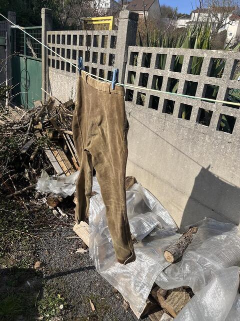 Pantalon en velours