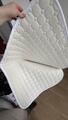 Tapis de Dressage