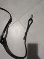 Collier de chasse avec martingale amovible