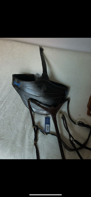 bavette + martingale 125cm