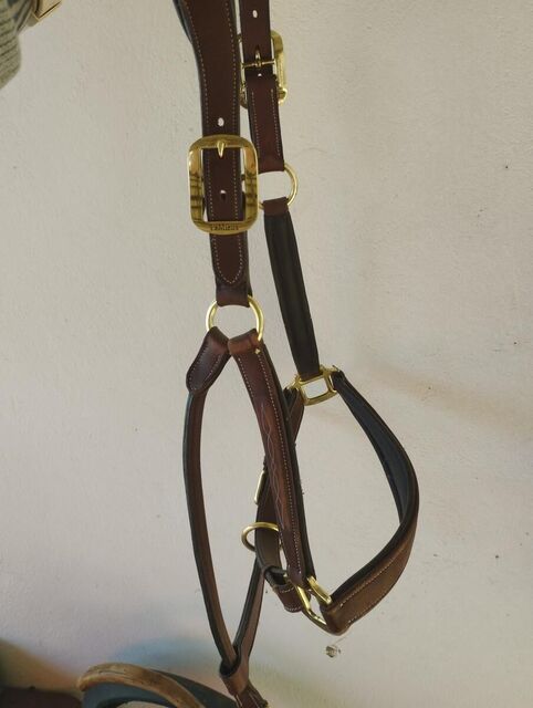 Licol cuir Lemieux