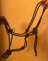 licol en cordes taille COB