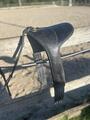 Selle Pessoa