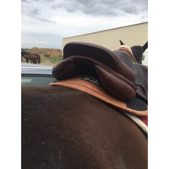 Selle CWD 17,5