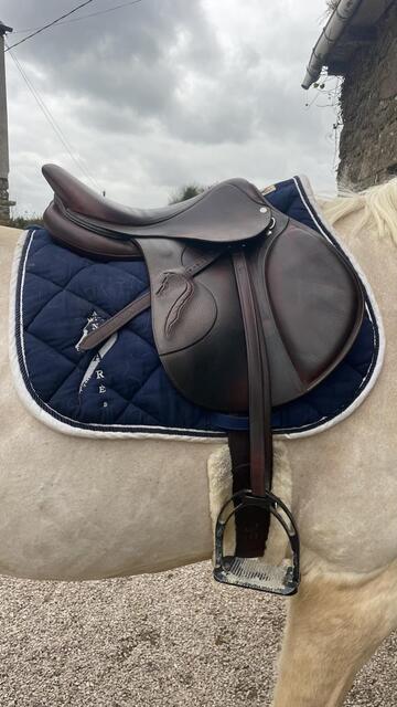 Selle antares