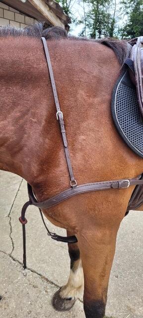 Bricolle-Martingale NORTON