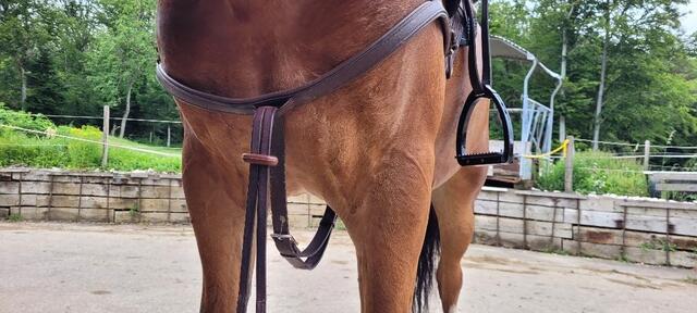 Bricolle-Martingale NORTON
