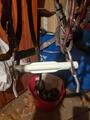 mors beris taille 125