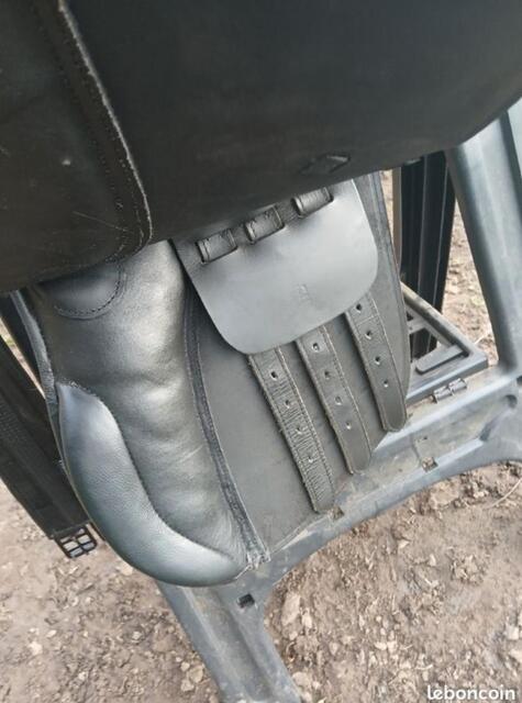 Selle d'équitation mixte