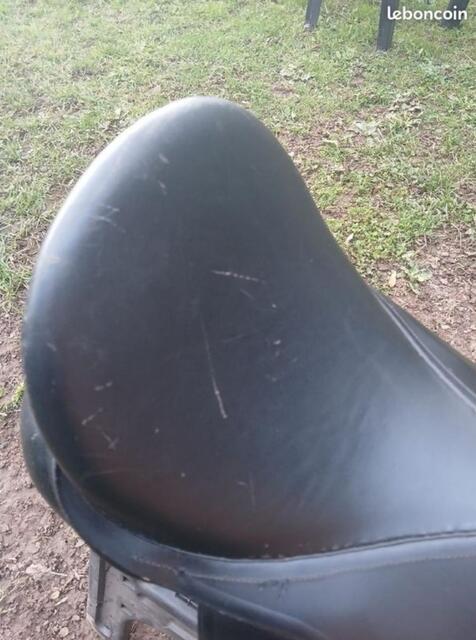 Selle d'équitation mixte