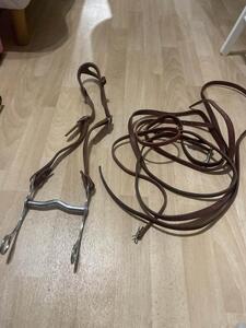 filet western + mors western+ rennes