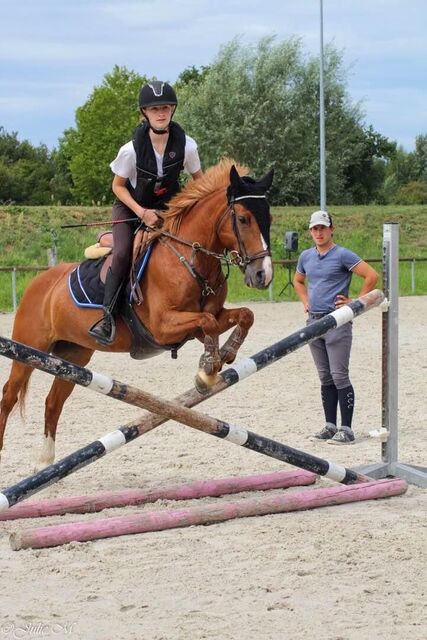 martingale