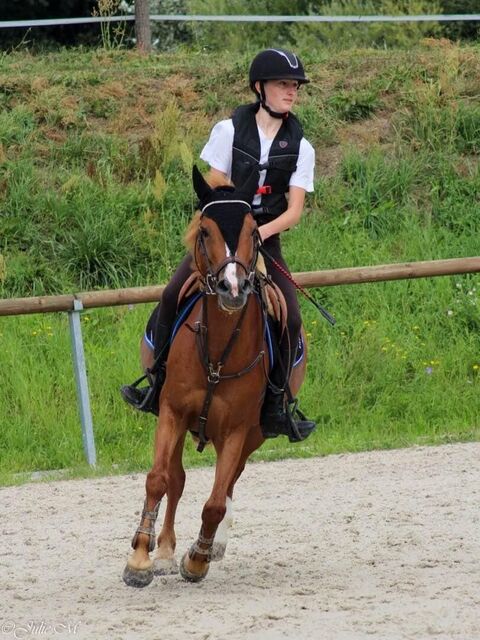 martingale