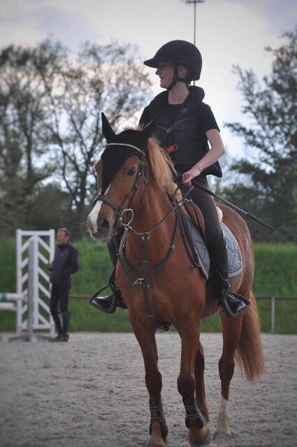martingale