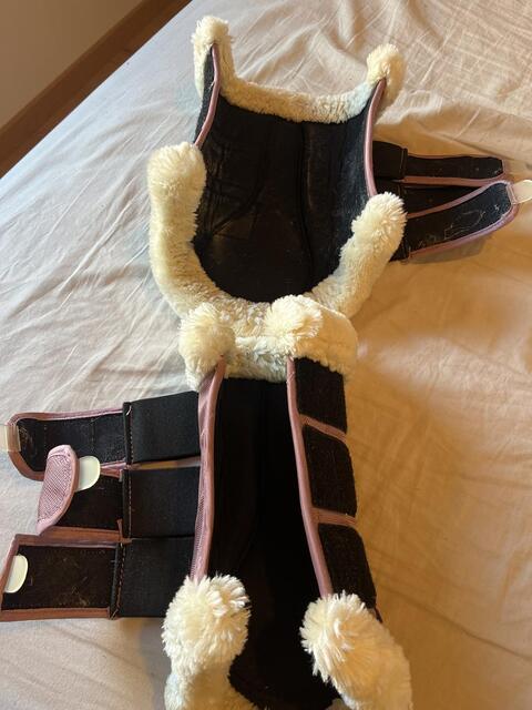 Guetre antérieur et postérieur dressage