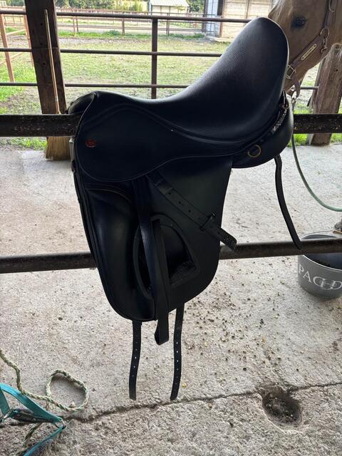 selle dressage kent & Master