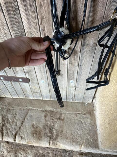 Bridon time rider muserolle croisé
